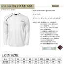 티나쏘 이미지