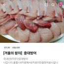 소주향기는바람에날리고 이미지