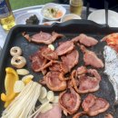 애견명가 이미지