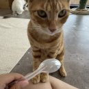 그루밍라운지 네이버블로그