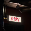 청미 | 합정 2차 술집 내돈내산 후기 | 청미닭발 홍대 닭발 맛집
