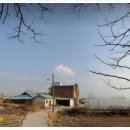 트인자리애 3차 이미지