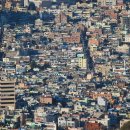 소나무내과의원 이미지