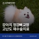 정강동물병원 네이버블로그