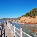 걷고 싶은 중구둘레길(제2코스) | [무의도 하나개 해수욕장 데크길] 바다 위를 걷는 둘레길 가는법 코스 추천