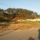 공룡모텔 이미지