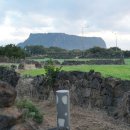 나무그늘 행정사사무소 | 제주 올레길 2코스 완주 후기! 광치기에서 온평까지 소요시간 맛집 총정리