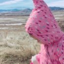 rabbit mountain 네이버블로그