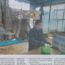 우리의 밥상