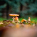 요한한의원 이미지