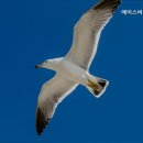 에이스비뇨기과의원 이미지