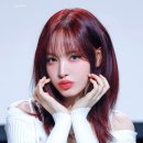 리즈컬러 이미지