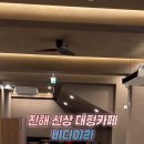데일리지몽