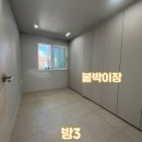 월배농산물