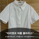 카라44 | [리리앤코] 여성스러운 슬림한 여름 블라우스 데일리룩 / 블루닌레이스 코튼 카라 여름셔츠 후기