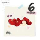 더블유워너비여성의원 이미지