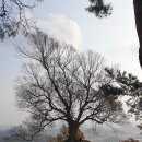 부여(임천)-11 이미지