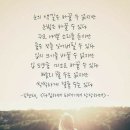 성인 하브루타 이미지