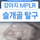 인제메디컬센터 이미지