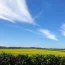 (주)성지여행