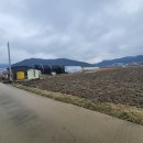 송악농장 이미지