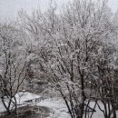 청도군-17 이미지