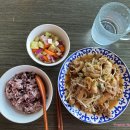 [공지] [제주한달살이 마지막 이야기] 고기반찬, 케이크 캔들, 무무제주, 반려견동반 후기 &amp; 팁