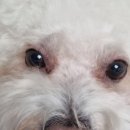 대곡동물병원 이미지