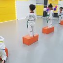 일등아이태권도 이미지