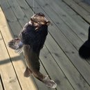 세월낚시터 | 인천 영종도 낚시 추천 아이와 함께 가기 좋은 낚시터 만정바다좌대낚시터 방문후기