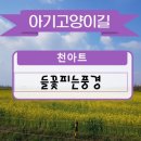 들꽃피는풍경 이미지