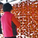 송월농장 이미지