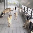 첨단우리동물병원 이미지