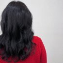 헤어르뽀렘반구점