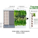 주식회사담쟁이