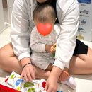 6월 시드니, 레드펀 걷기 좋은 루트 | 카페 | 식당 | 펍 | 호텔 후기 및 소개