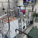 가산흑염소 이미지