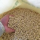 산들에두부마을 이미지