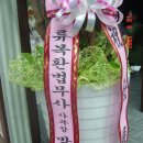 백양스크린골프 이미지