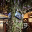 쌈뽕포차 이미지