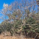 양동문고 이미지