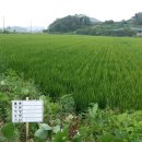 고흥2농장 이미지