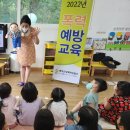 내행어린이집 Daum카페