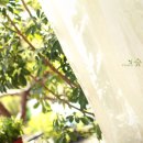 스튜디오숲속엔 이미지