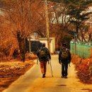 뒷골녹지 이미지