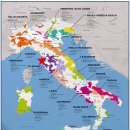 미도할인마트 이미지