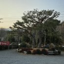 태양구이구이 이미지