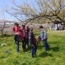 손불농장 이미지