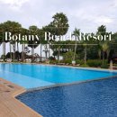 보타니 | 태국 여행 파타야 로컬 숙소 보타니 비치 리조트 후기