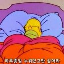 시유뷰티 | 송파구 속눈썹 LED 연장 잘하고 친절한 '그리시유뷰티 잠실점' 방문 후기